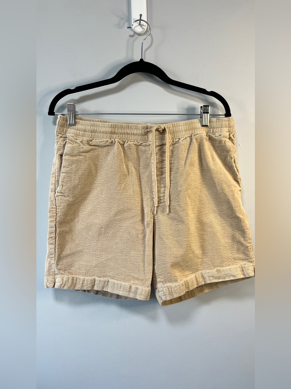 PacSun Men's Corduroy Drawstring Shorts Size Medium